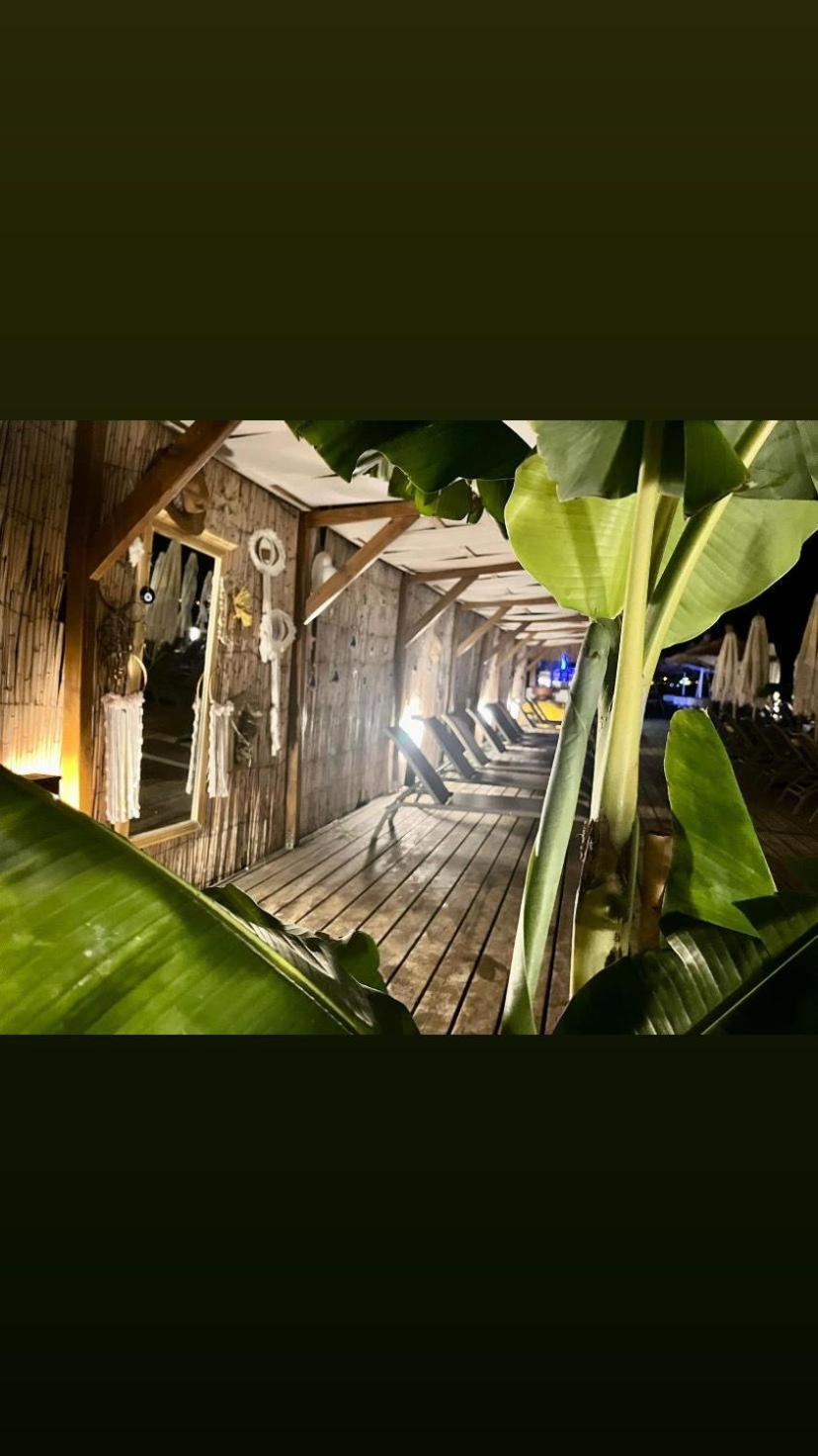 纯陀全景酒店 Ayvalı 外观 照片